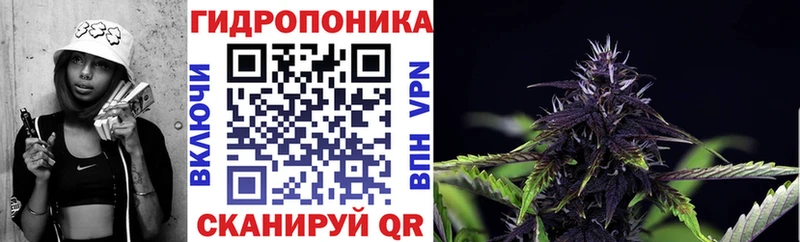 Купить закладку Alpha PVP  МАРИХУАНА  Меф  Псилоцибиновые грибы  КОКАИН  Гашиш  Слободской