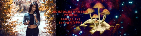 СК Арсеньев