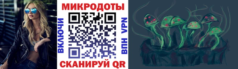 Купить где  Слободской  Псилоцибиновые грибы Cubensis 